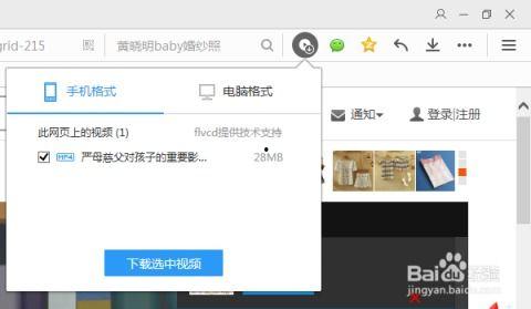 怎样从网上下载视频